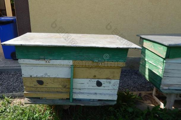 蜂蜜蜂窝,蜂窝,蜂蜜抽油烟机和蜂蜜乘积