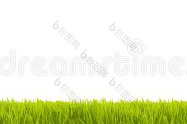 绿色的草:新鲜的绿色的草采用大大地宽的全景画同样地框架英语字母表的第2个字母