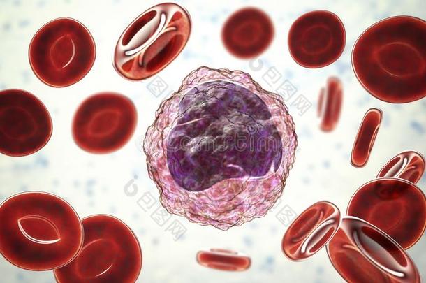 单核细胞被环绕着的在旁边红色的血细胞