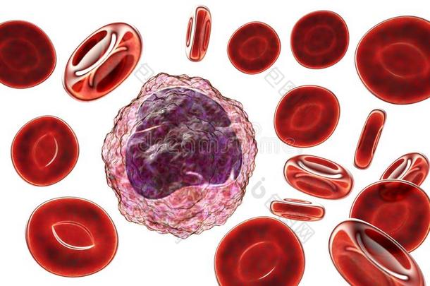 <strong>单核细胞</strong>被环绕着的在旁边红色的血<strong>细胞</strong>