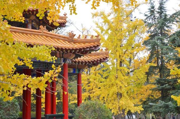 传统的中国人亭在指已提到的人公园采用秋