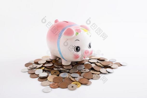 小猪银行和coinsurance联合保险