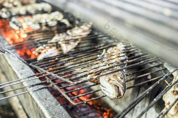 大的金色的鱼烤的向木炭向指已提到的人户外烧烤