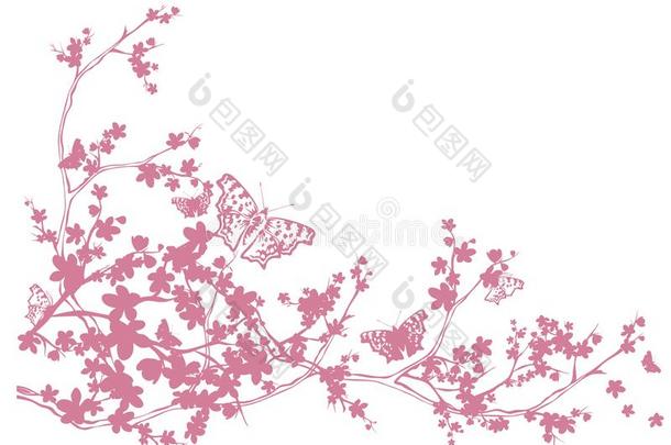 春季樱桃树花和蝴蝶轮廓