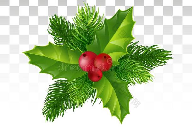 松树树树枝,冬青树叶和红色的浆果.圣诞节装饰