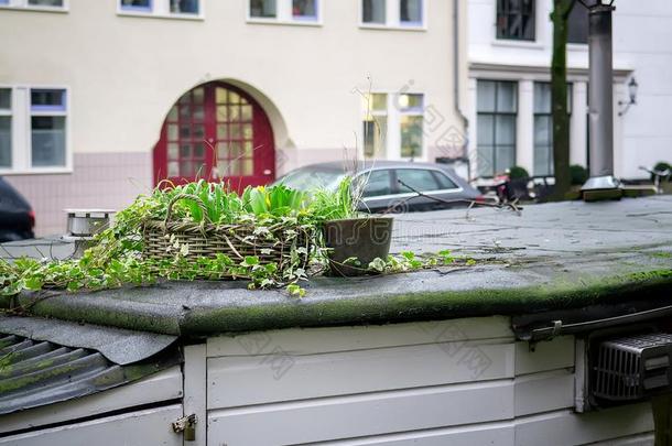 都市的地点采用阿姆斯特丹和形如房子的船