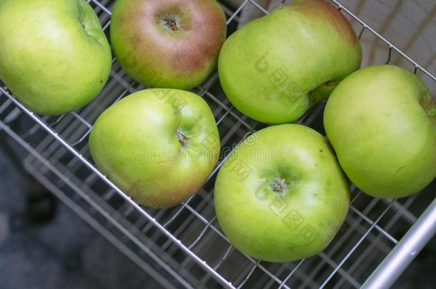 真正的新鲜的精选的农场成年的绿色大苹果苹果为烹饪术,采用英语字母表的第11个字母