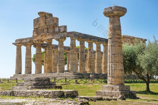 庙关于雅典娜智慧和技术及工艺之神采用波塞多尼亚帕埃斯图姆,坎帕尼亚区,意大利