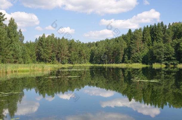 夏风景和湖