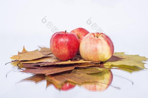num.三苹果向表和reflecti向.秋抽象的照片