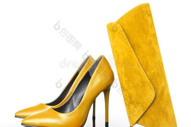 黄色的高的高跟鞋尖的女人鞋子和h和袋