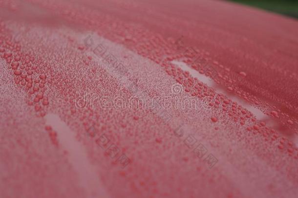 特写镜头关于雨点向陶器的涂上一层的红色的汽车和狂犬病的