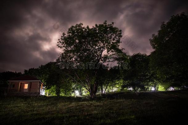 山夜风景关于建筑物在森林在夜和哞