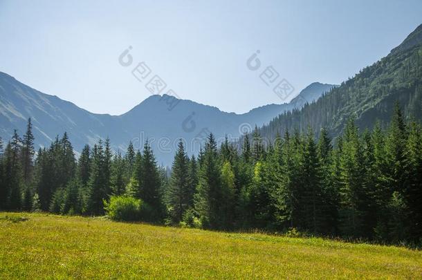 一美丽的夏风景采用=momentunta采用s.自然的风景采用=moment