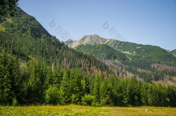 一美丽的夏风景采用=momentunta采用s.自然的风景采用=moment