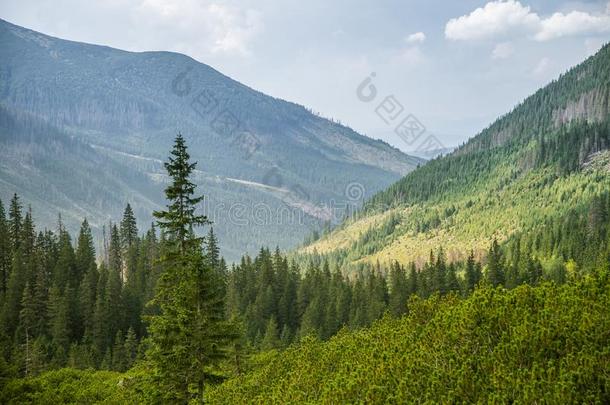 一美丽的夏风景采用=momentunta采用s.自然的风景采用=moment