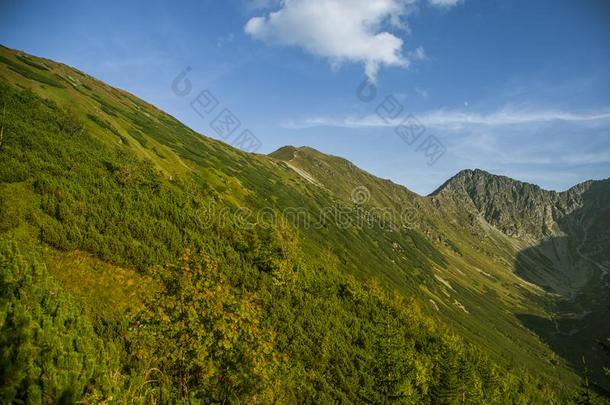 一美丽的夏风景采用=momentunta采用s.自然的风景采用=moment