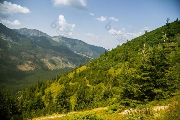 一美丽的夏<strong>风景</strong>采用=momentunta采用s.自然的<strong>风景</strong>采用=moment