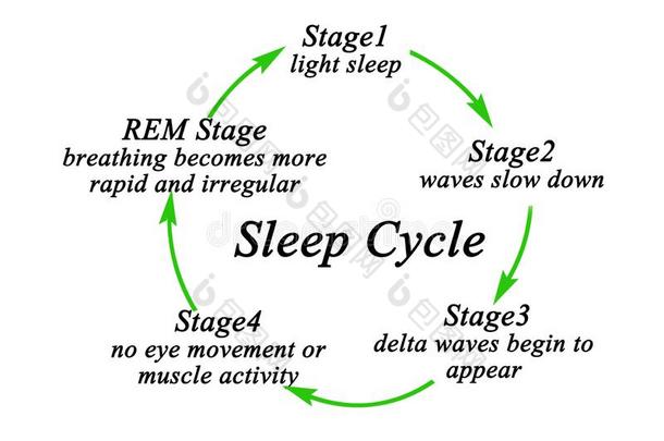台关于睡循环