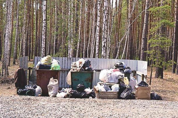 杂物盒满的关于垃圾采用森林.观念关于生态学问题
