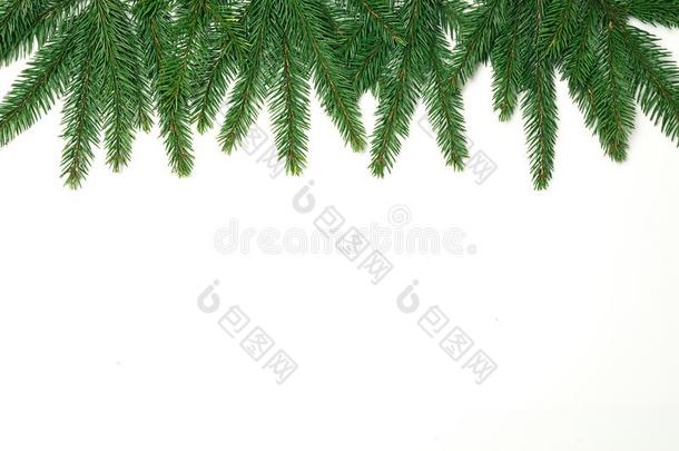 圣诞节作品.圣诞节树树枝,松树圆锥细胞,冷杉Brazil巴西