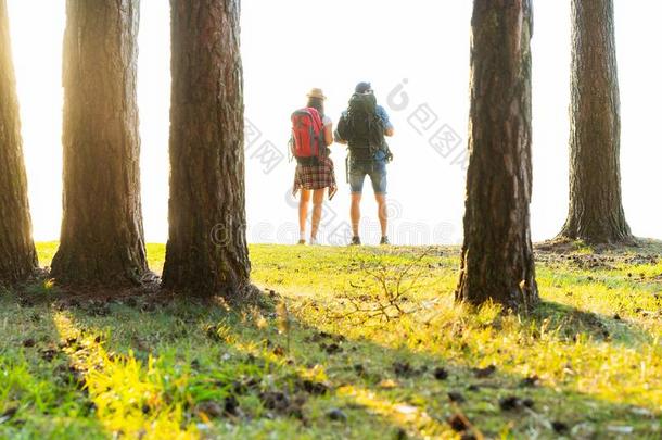 坚强的路.美丽的年幼的对徒步旅行同时采用指已提到的人森林