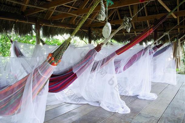 一敞开的宿舍为旅行者-吊床和蚊子网