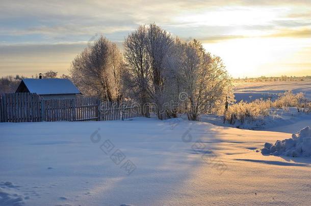 俄国的冬风景在日出