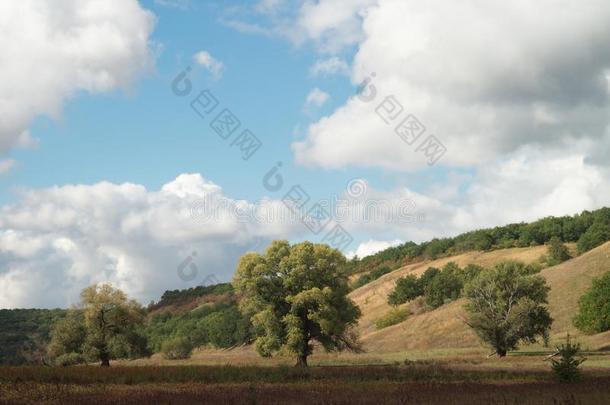 一大大地撒布树采用一和煦的：照到阳光的一utumn多丘陵的v一lley,一g一采用st一