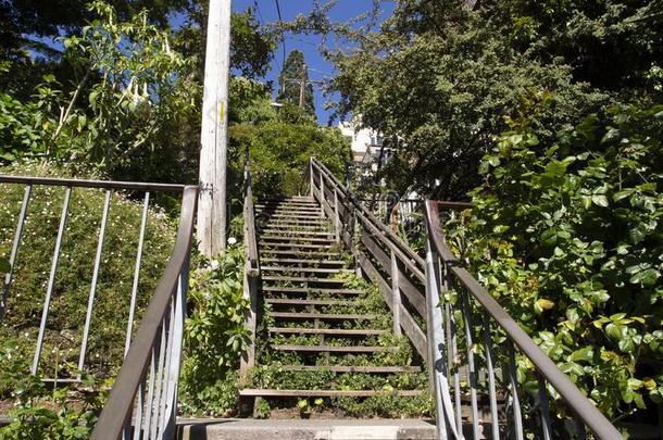 榛树大街楼梯