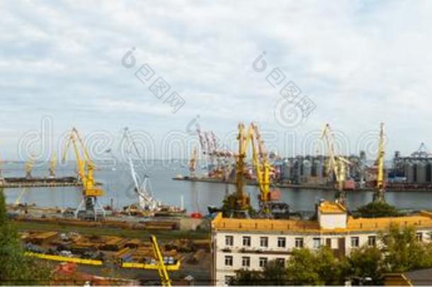 港口鹤采用货物前面关于敖德萨海商业的港口-人名