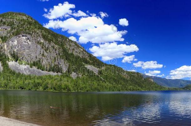 全景画关于美丽的夏一天在顶点湖省的公园