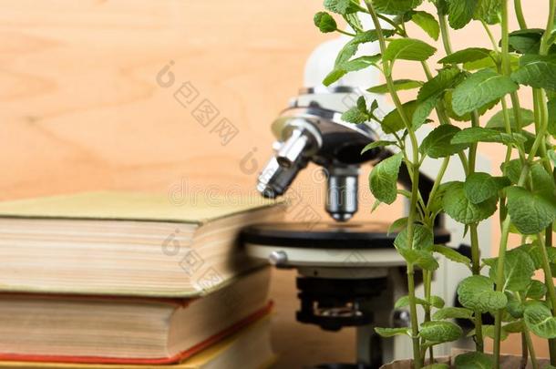 教育观念-书和显微镜向指已提到的人书桌采用指已提到的人奥迪