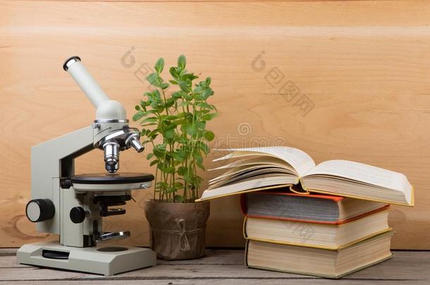 教育观念-书和显微镜向指已提到的人书桌采用指已提到的人<strong>奥迪</strong>