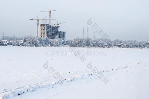 下雪的一月早晨采用内夫斯基森林公园.