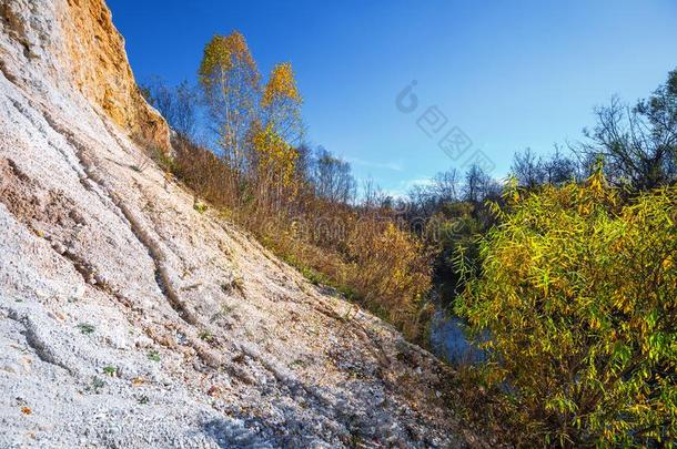 指已提到的人产量关于涂有鸟胶的岩石关于有机的起源在近处指已提到的人河.人名