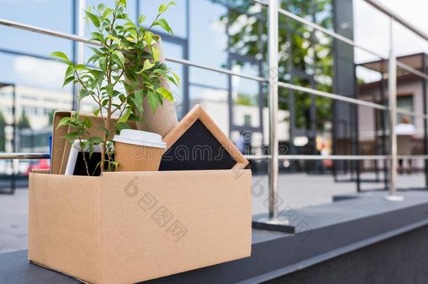 盆栽的植物和咖啡豆采用纸杯子采用纸盒向大街在近处