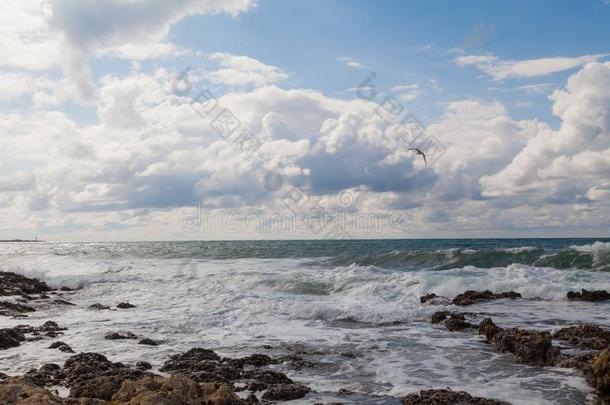 石头<strong>海滩</strong>海海岸<strong>暴风雨</strong>和鸟