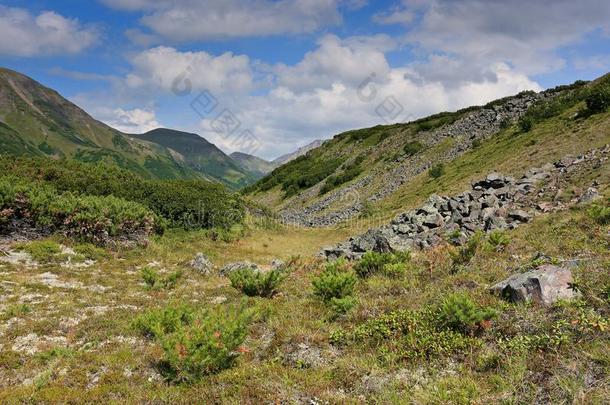 火山的喷发采用堪察加半岛,火山碎屑的流