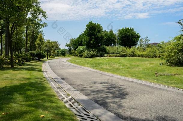 弯曲的涂焦油道路采用草地向和煦的：照到阳光的夏一天