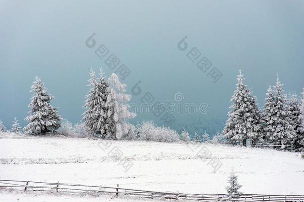 冬乡村风景