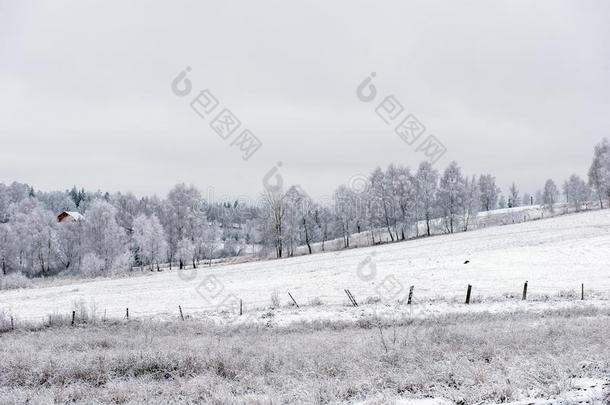 冬乡村风景
