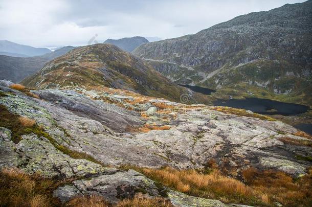 一美丽的秋风景采用福尔盖芬娜<strong>国家</strong>的公园采用norwegisc<strong>挪威</strong>的