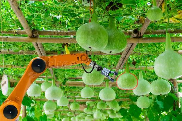 聪明的机器人的农场主采用<strong>农业未来</strong>的机器人自动化