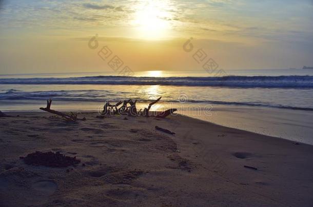 美丽的长的暴露摄影关于日出在海岸和