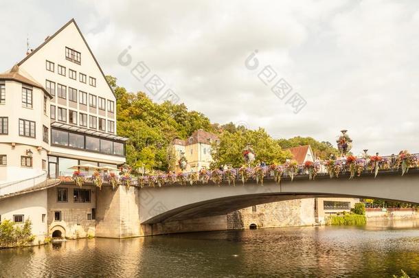 内卡河河,桥和城市.图宾根,巴登-符腾堡,幼芽