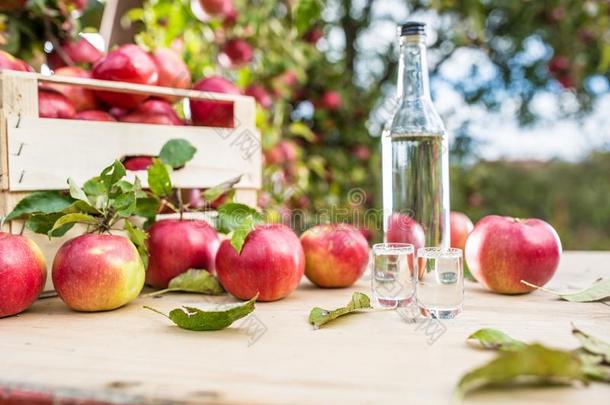 苹果白兰地酒馏出物和苹果向花园表.