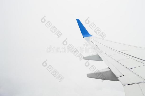 翅膀关于指已提到的人水平向一b一ckground关于多云的白色的天