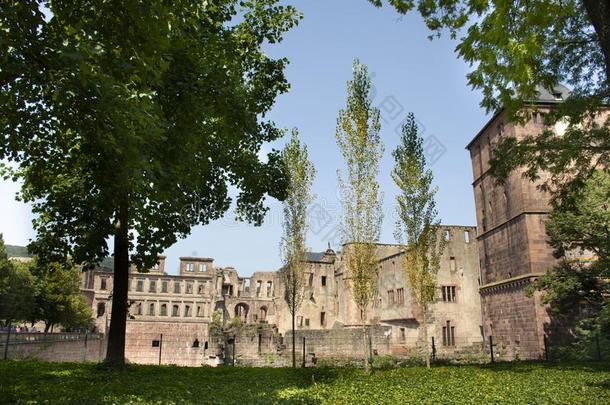 海德尔堡城堡或海德尔堡er城堡在海德尔堡采用巴登