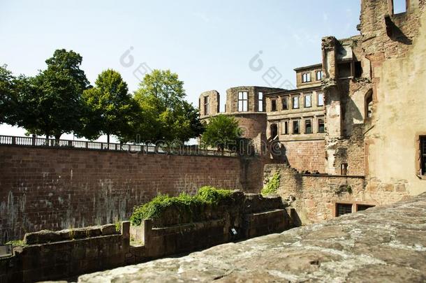 海德尔堡城堡或海德尔堡er城堡在海德尔堡采用巴登